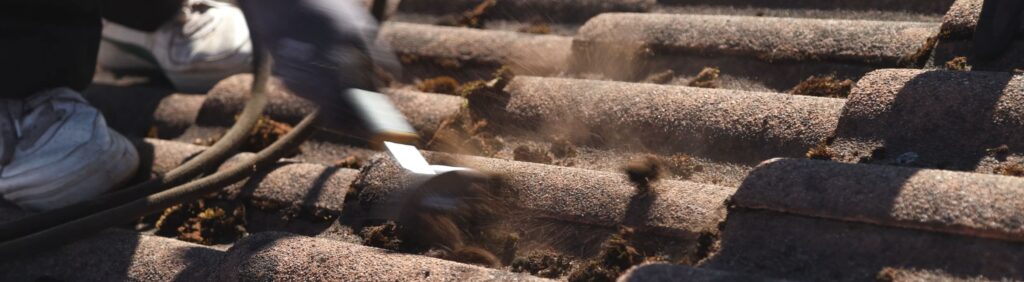 Skrapning av mossa på tak